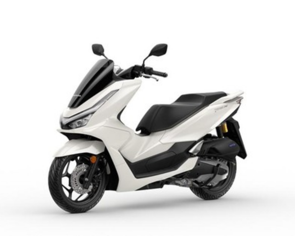 Scoopy Prestige White